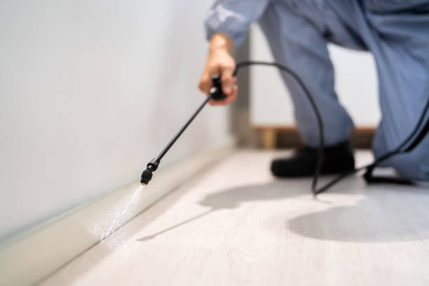 Rodent Entry Point Assessment in North Hills