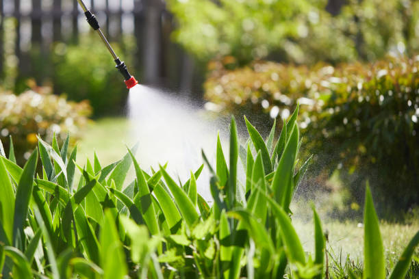 Tamper-Resistant Bait Stations for Rodents in North Hills