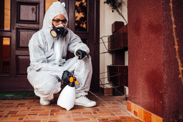 Attic and Crawl Space Rodent Treatment in North Hills