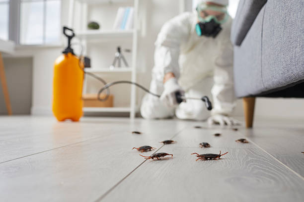 Commercial Rodent Management in North Hills
